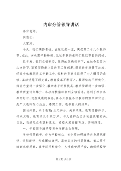 内审分管领导讲话.docx