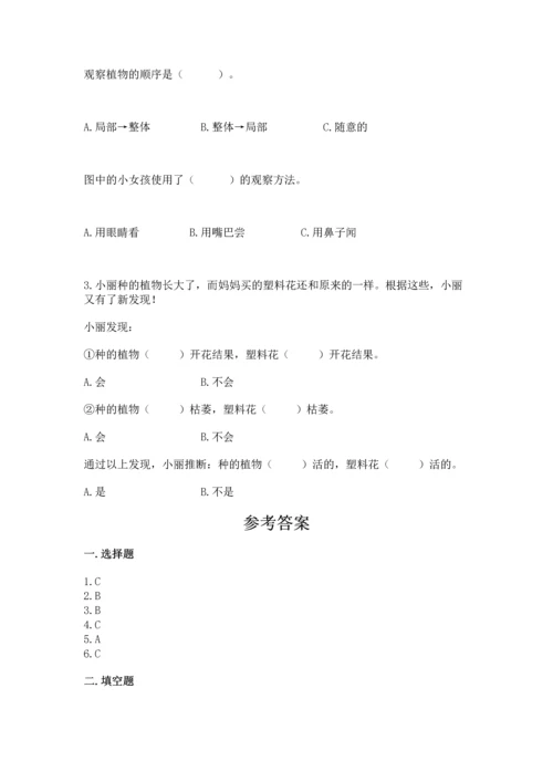 教科版科学一年级上册第一单元《植物》测试卷及完整答案（精品）.docx