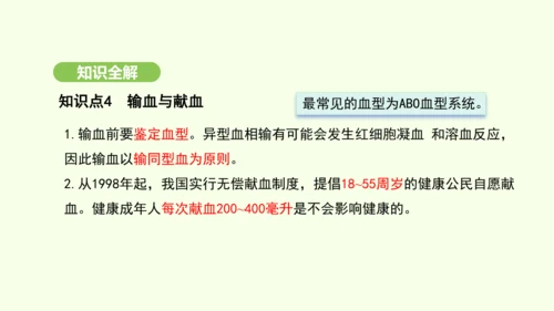 第四单元-第四章-第一节-流动的组织——血液课件-2024-2025学年七年级生物下学期人教版(20