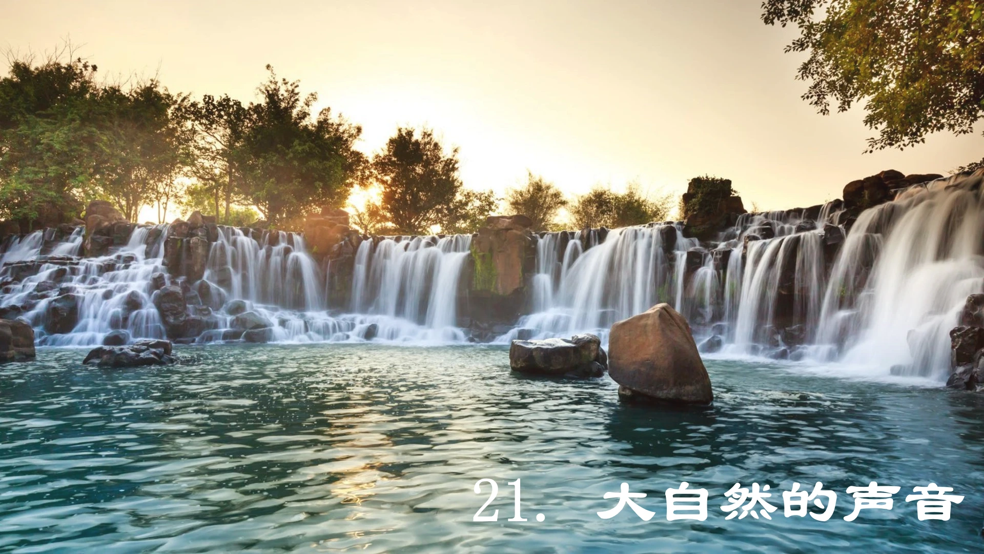 第21课 《大自然的声音》  课件
