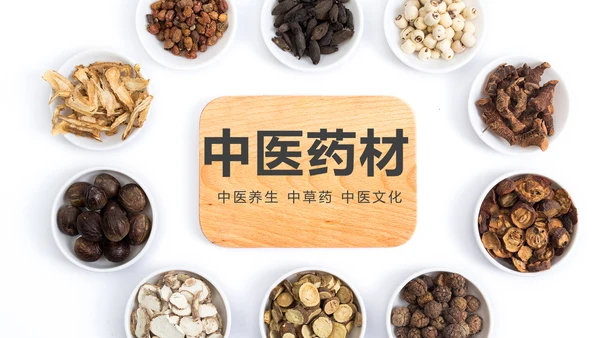 中医学中医院中医文化中草药PPT模板