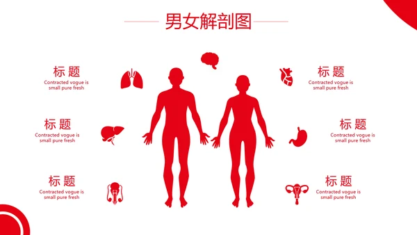 红色爱心医疗健康检查工作总结汇报动态PPT模板