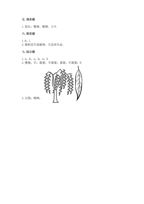 教科版科学一年级上册第一单元《植物》测试卷含答案【突破训练】.docx