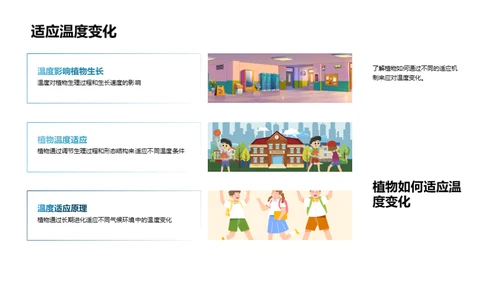 揭秘植物生长之旅