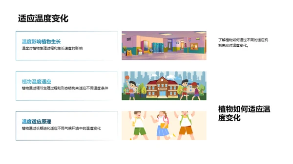 揭秘植物生长之旅