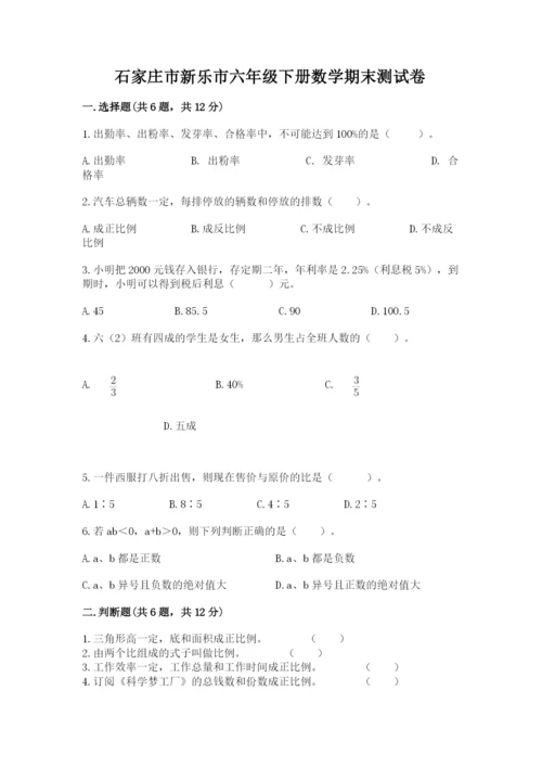 石家庄市新乐市六年级下册数学期末测试卷完整.docx