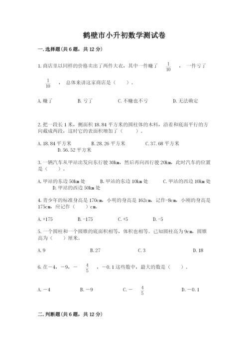 鹤壁市小升初数学测试卷完美版.docx