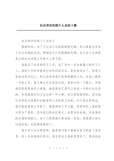 社会劳动实践个人总结5篇.docx