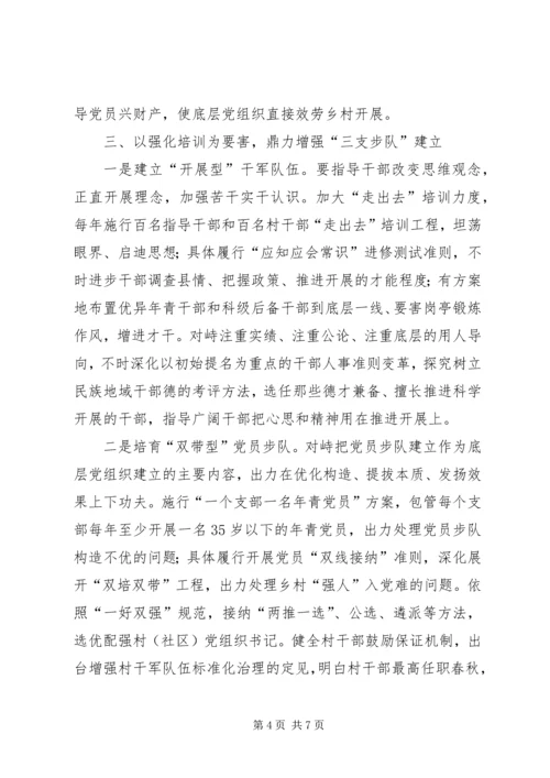 民族地区党建提升情况报告.docx