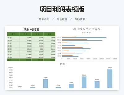 项目利润表模版
