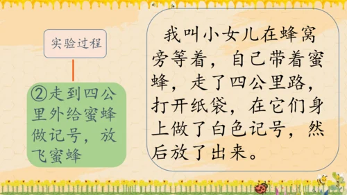 14《蜜蜂》课件