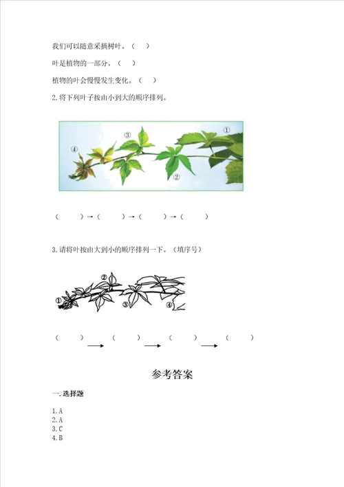 教科版科学一年级上册第一单元植物测试卷含答案突破训练