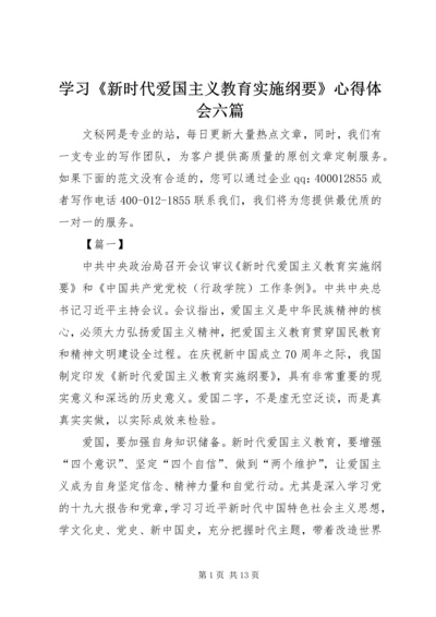 学习《新时代爱国主义教育实施纲要》心得体会六篇.docx