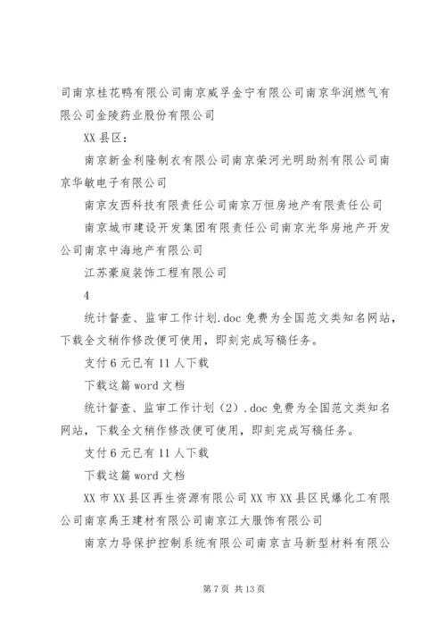 统计督查、监审工作计划.docx