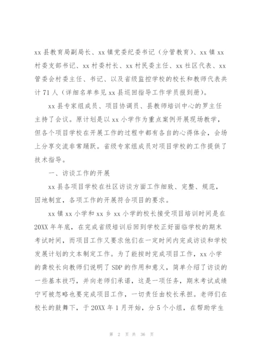 巡回指导组工作总结5篇.docx