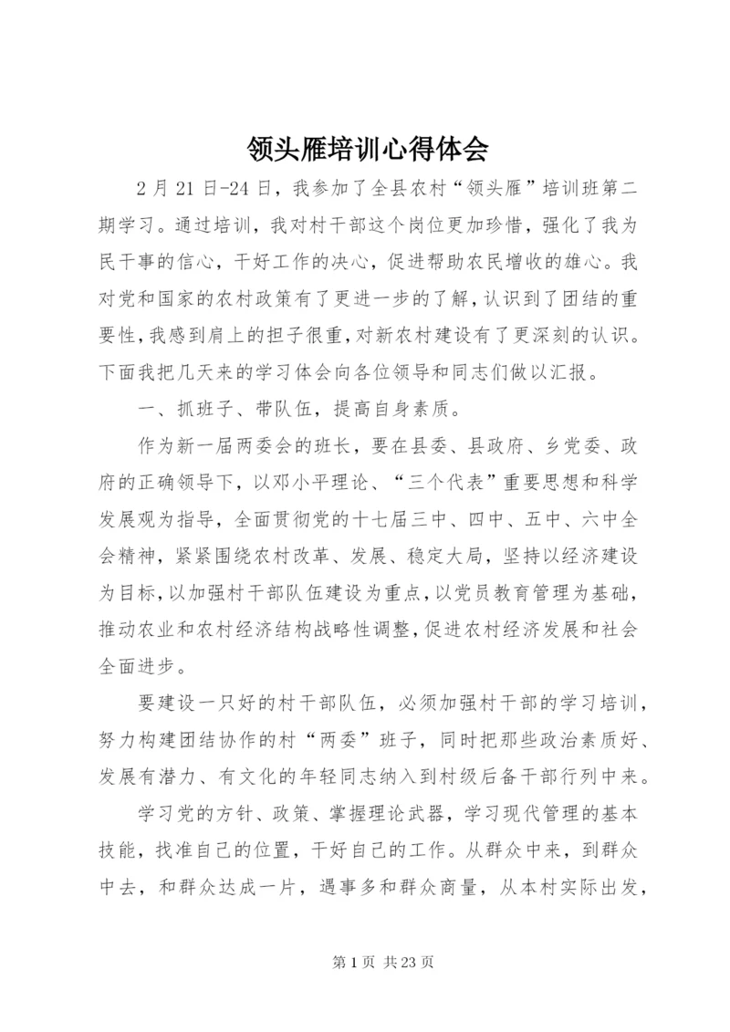 领头雁培训心得体会 (2).docx