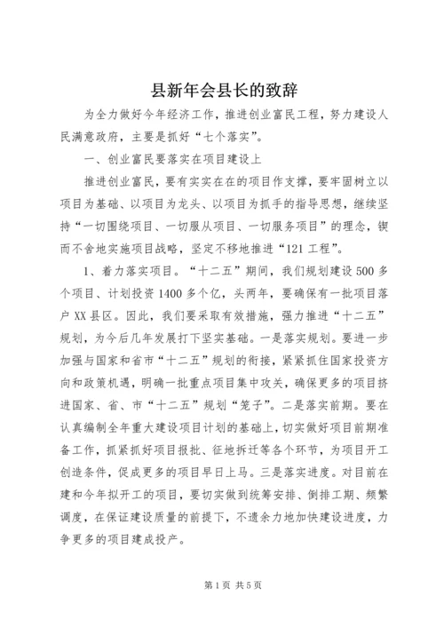 县新年会县长的致辞.docx