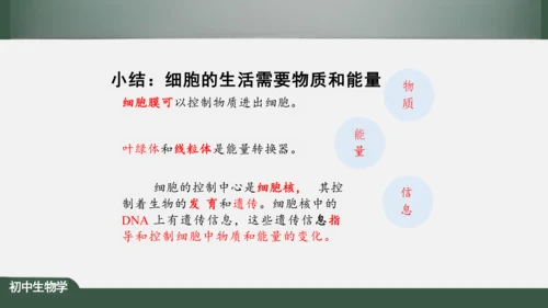 2.1.4  细胞的生活 课件（共26张PPT）