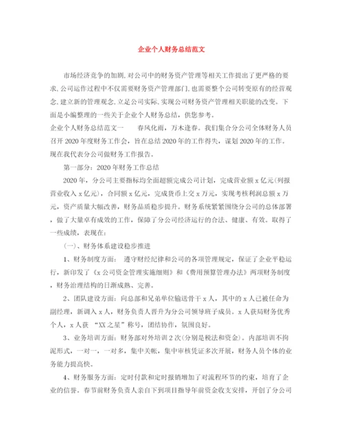 精编之企业个人财务总结范文.docx