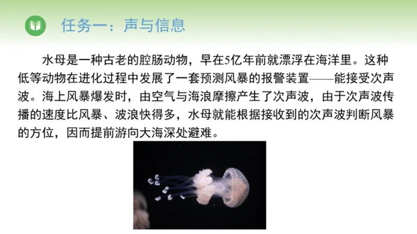 人教版（2024）八年级物理上册2.3 声的利用 课件(共22张PPT)