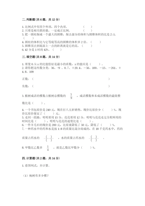 重庆市江津市六年级下册数学期末测试卷及答案参考.docx