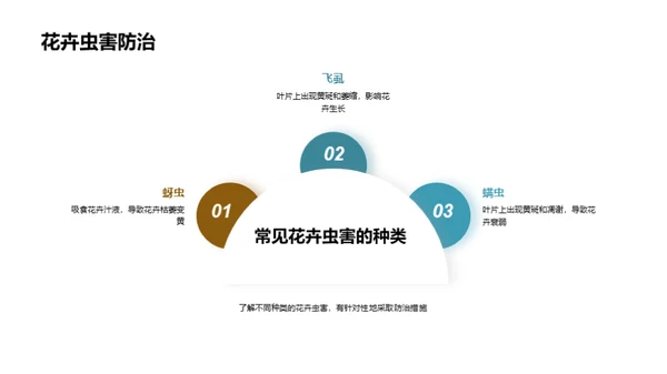 花卉养殖艺术解析