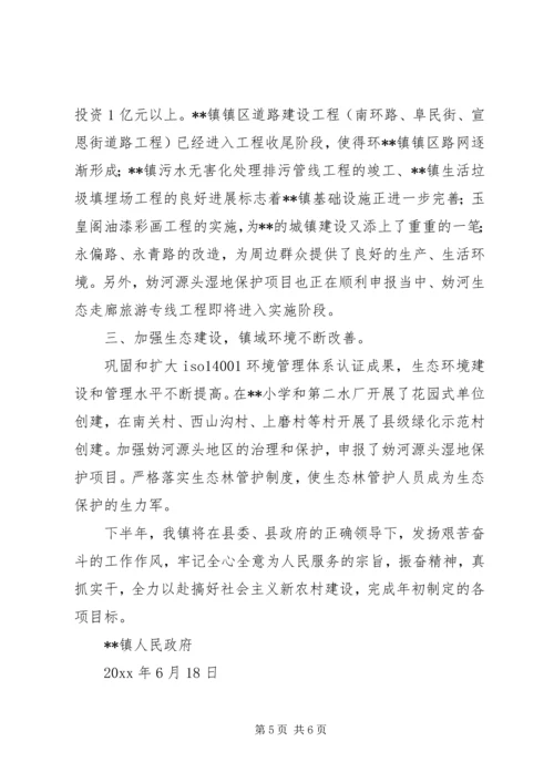 乡镇政府上半年工作总结.docx