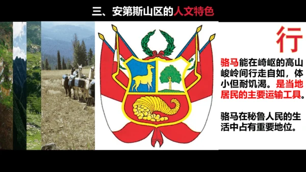 3.2.1 垂直的生计 课件（17张PPT）