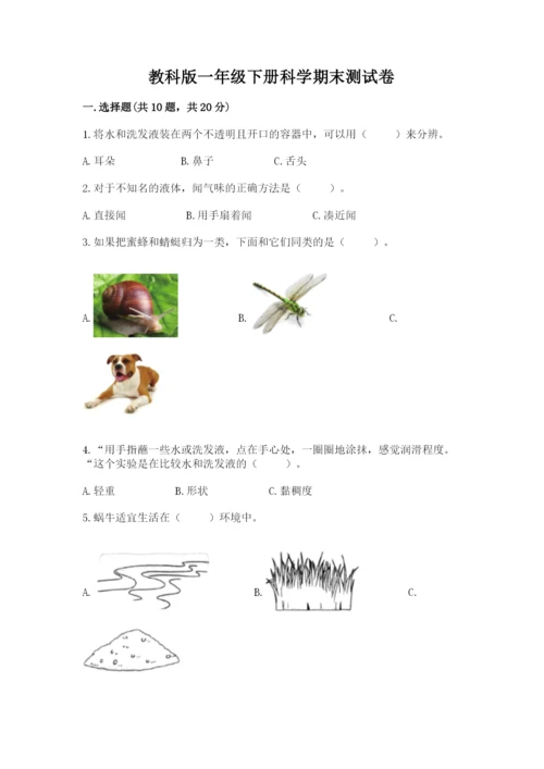 教科版一年级下册科学期末测试卷含完整答案（夺冠系列）.docx