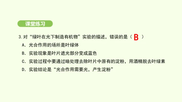 第三单元-第二章-第二节-光合作用-第1课时 绿叶在光下制造有机物课件-2024-2025学年七年级