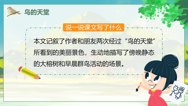 人教版语文四年级上册鸟的天堂课件PPT模板