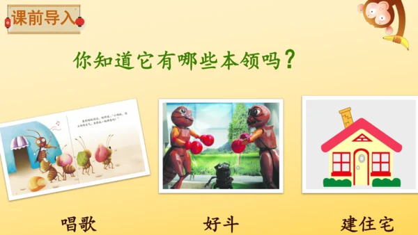 11 蟋蟀的住宅  课件