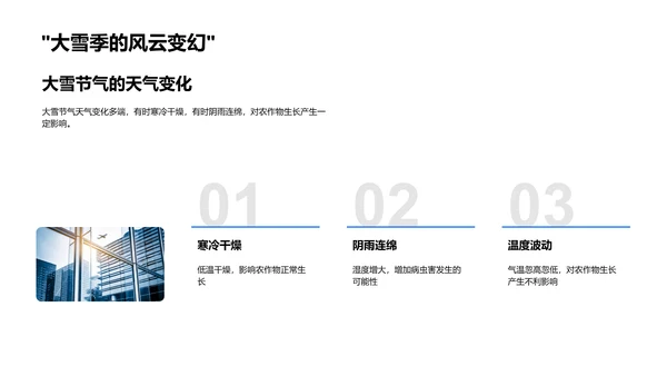 大雪节气农事规划PPT模板