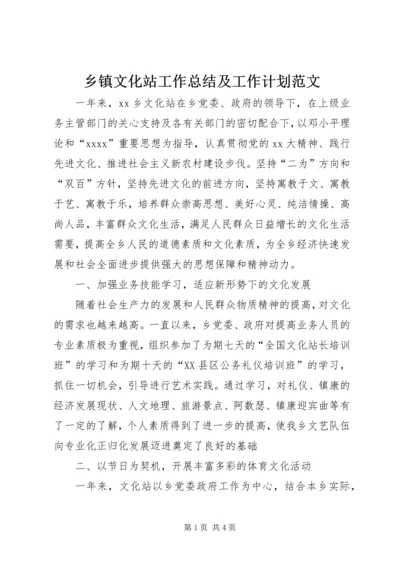 乡镇文化站工作总结及工作计划范文.docx