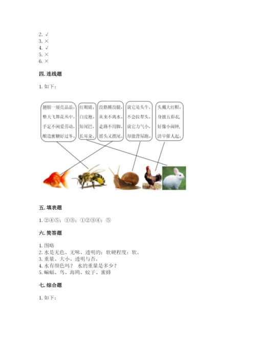 教科版小学科学一年级下册期末测试卷含完整答案（夺冠）.docx