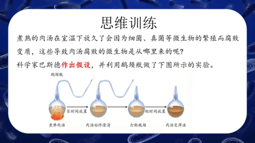 人教版生物七年级上册2.3.2《细菌》课件(共24张PPT)