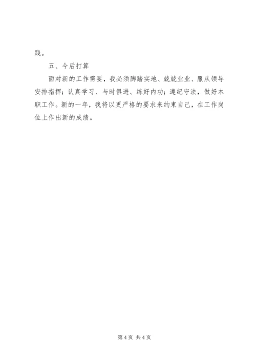 乡镇民政助理员个人工作总结.docx