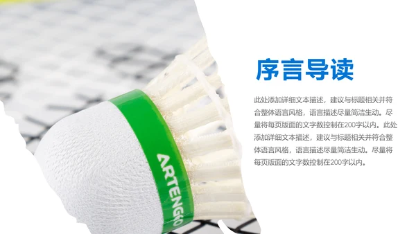 体育竞赛活动羽毛球运动羽神争霸PPT模板