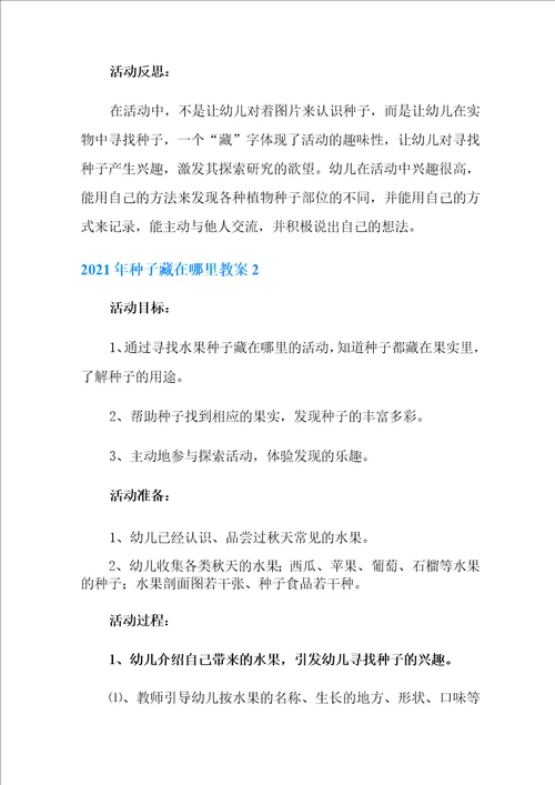 2021年种子藏在哪里教案