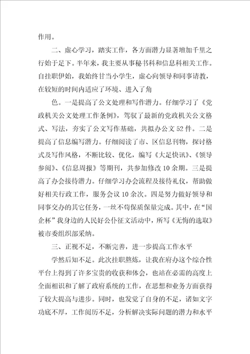 农村个人挂职工作总结优秀9篇