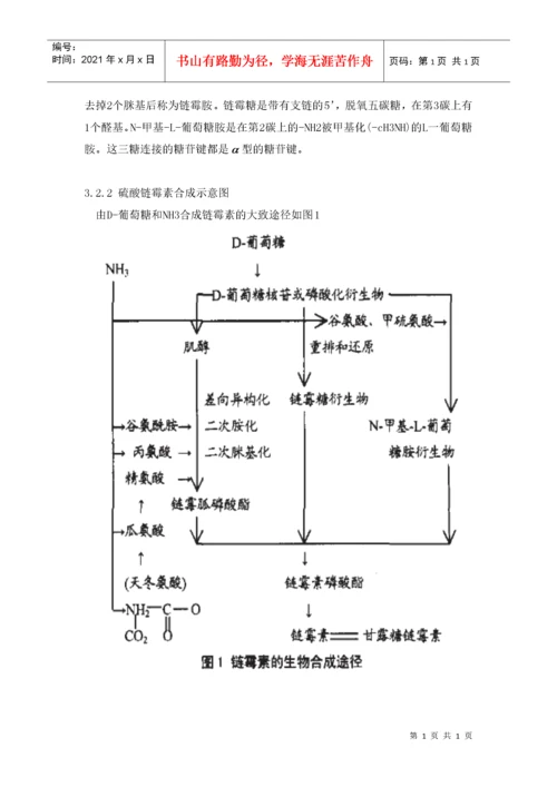 年产300吨硫酸链霉素工业盐发酵车间的工艺设计.docx