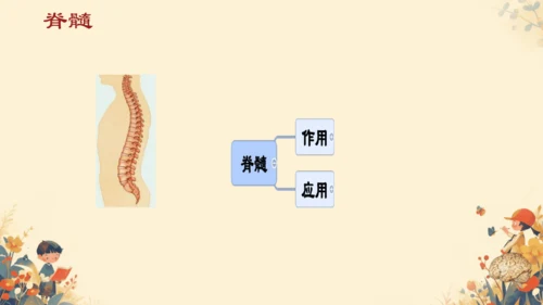 人教版（新课程标准）七年级下册4.6.2  神经系统的组成课件(共20张PPT)