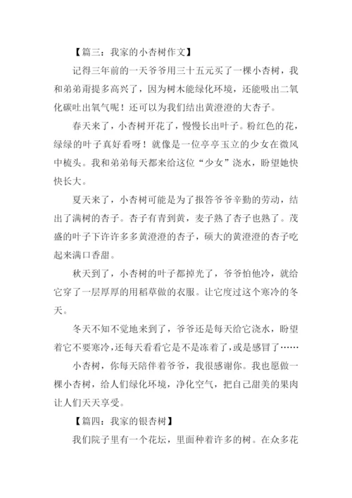 我家的杏树作文500字.docx