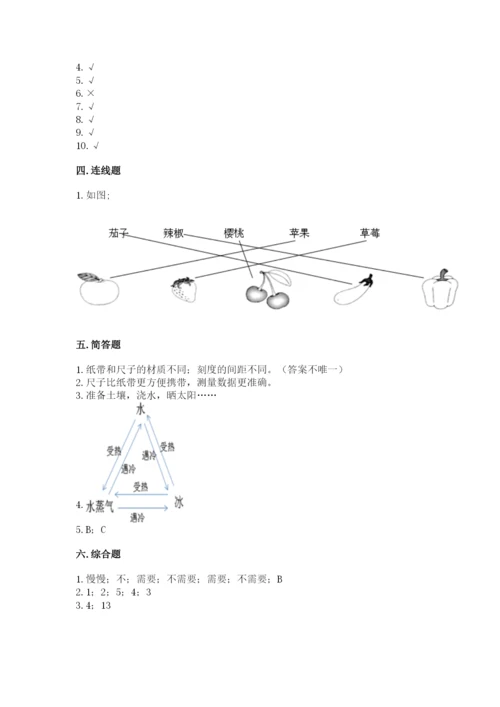 教科版一年级上册科学期末测试卷（全国通用）.docx