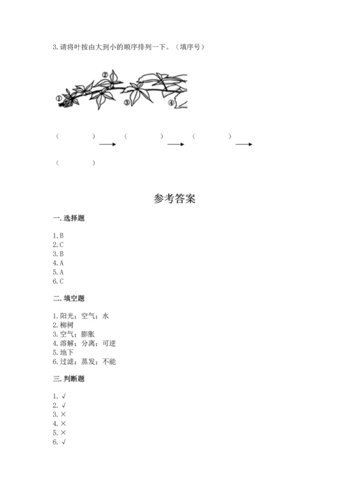 教科版科学一年级上册第一单元《植物》测试卷精品【完整版】.docx