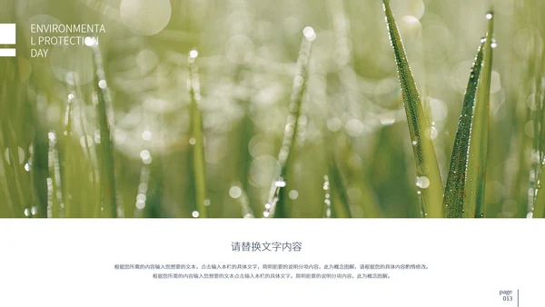 白色简约大气保护环境日PPT模板