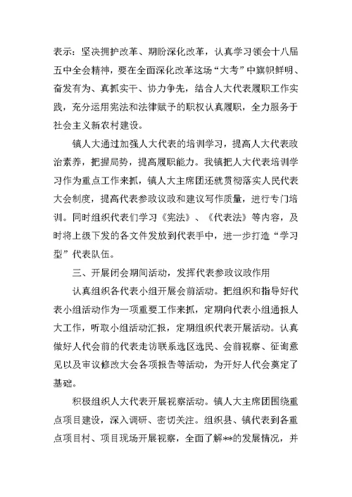 乡镇人大工作总结3000字