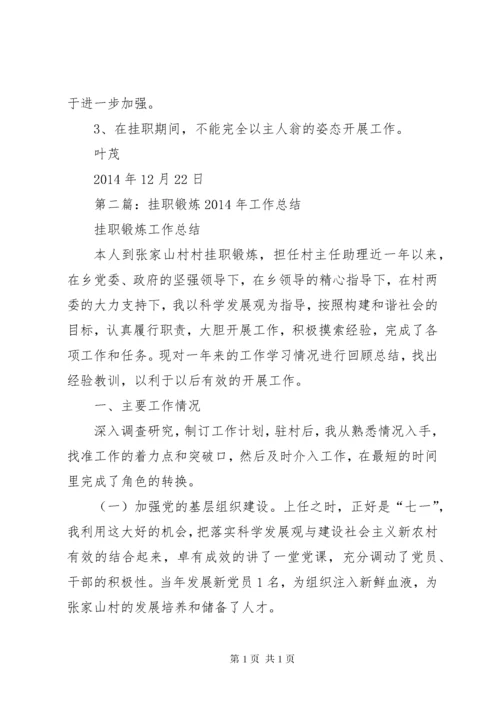 省政府派挂职锻炼工作总结.docx