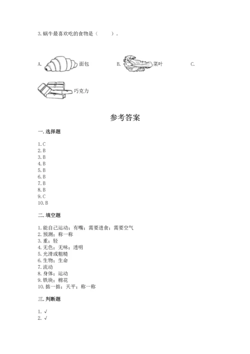 教科版一年级下册科学期末测试卷附答案（满分必刷）.docx