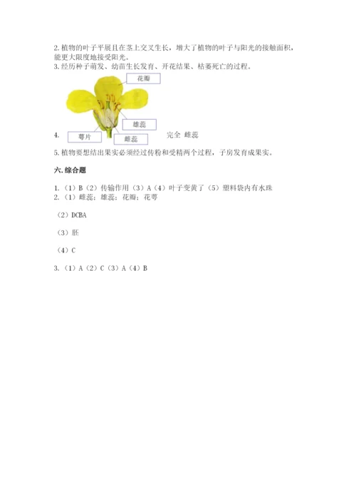 科学四年级下册第一单元植物的生长变化测试卷精品（考试直接用）.docx